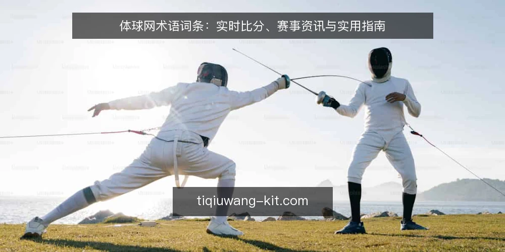 体球网术语词条:实时比分、赛事资讯与实用指南 — 体球网:术语与平台定位 配图
