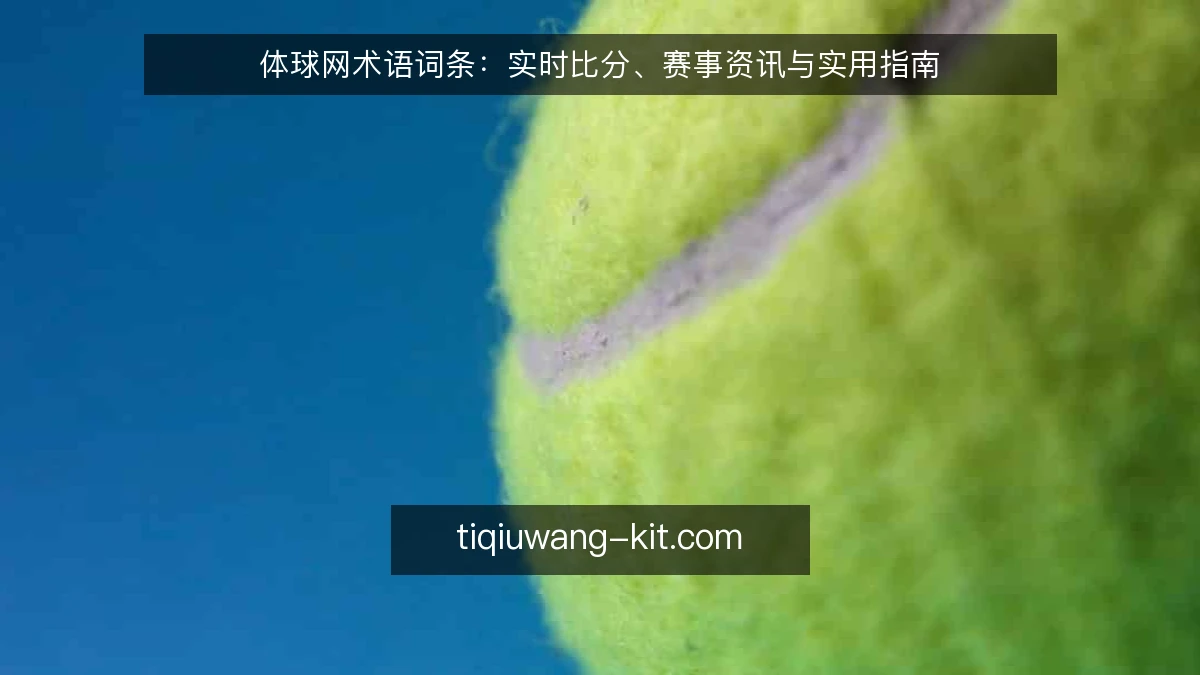 体球网术语词条:实时比分、赛事资讯与实用指南