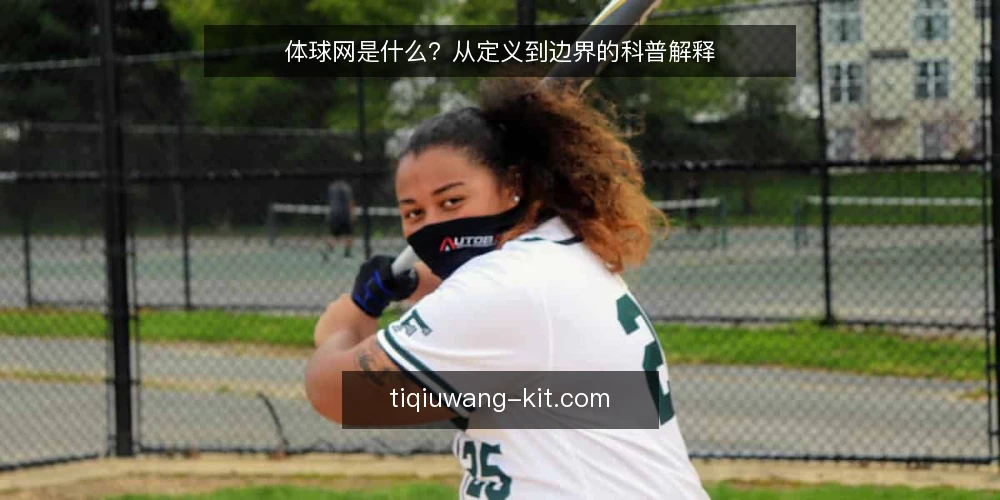 体球网是什么？从定义到边界的科普解释 — 体球网到底指什么：一个先要厘清的定义 配图