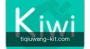 体球网
