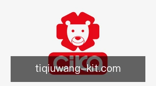体球网