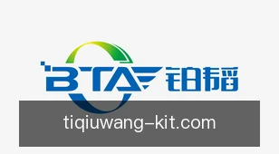 体球网